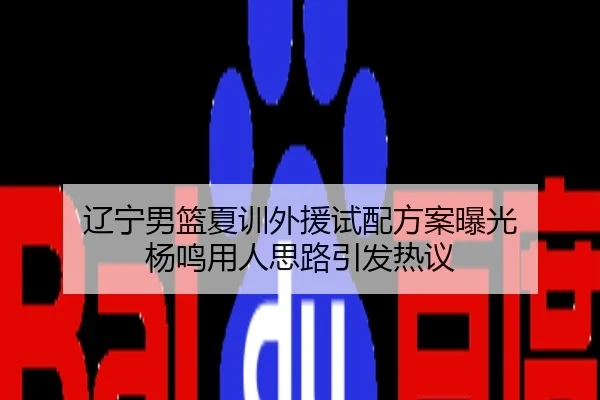 辽宁男篮夏训外援试配方案曝光 杨鸣用人思路引发热议