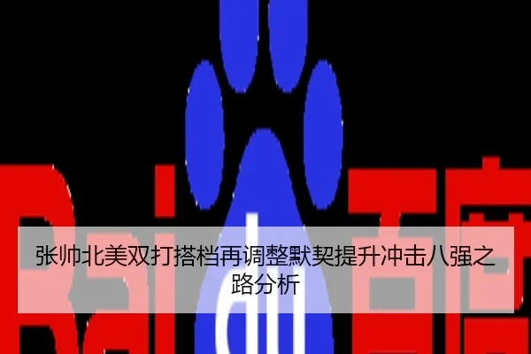 张帅北美双打搭档再调整默契提升冲击八强之路分析